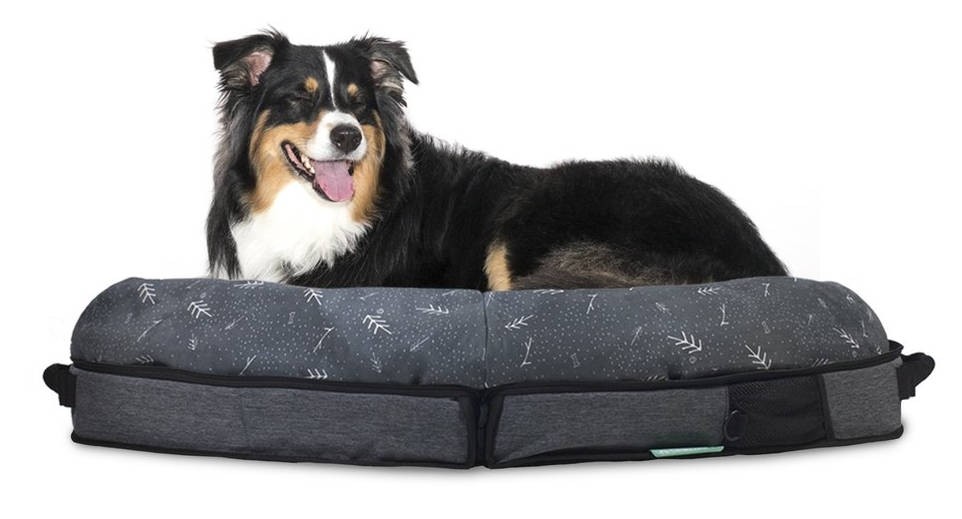 Spruce hot sale dog bed